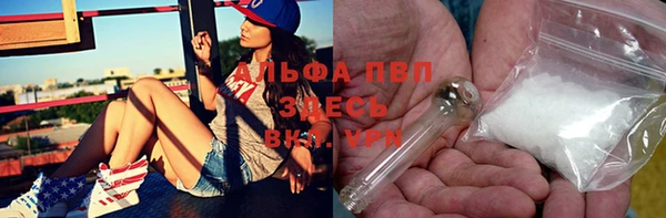 сатива Покров