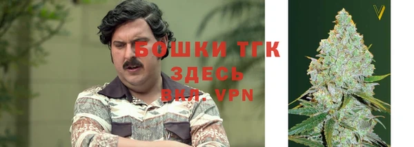 сатива Покров
