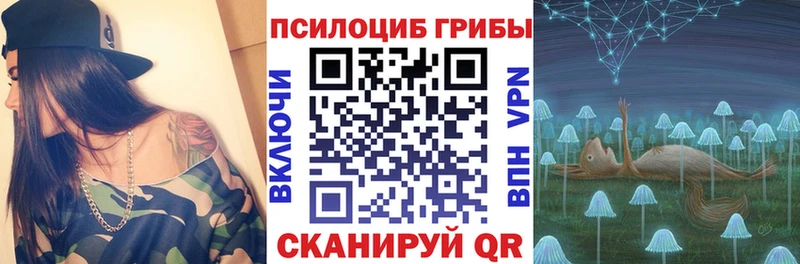 Купить Калязин Псилоцибиновые грибы Psilocybine cubensis